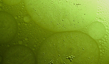 Benefits Of Tea Tree Oil For Hair