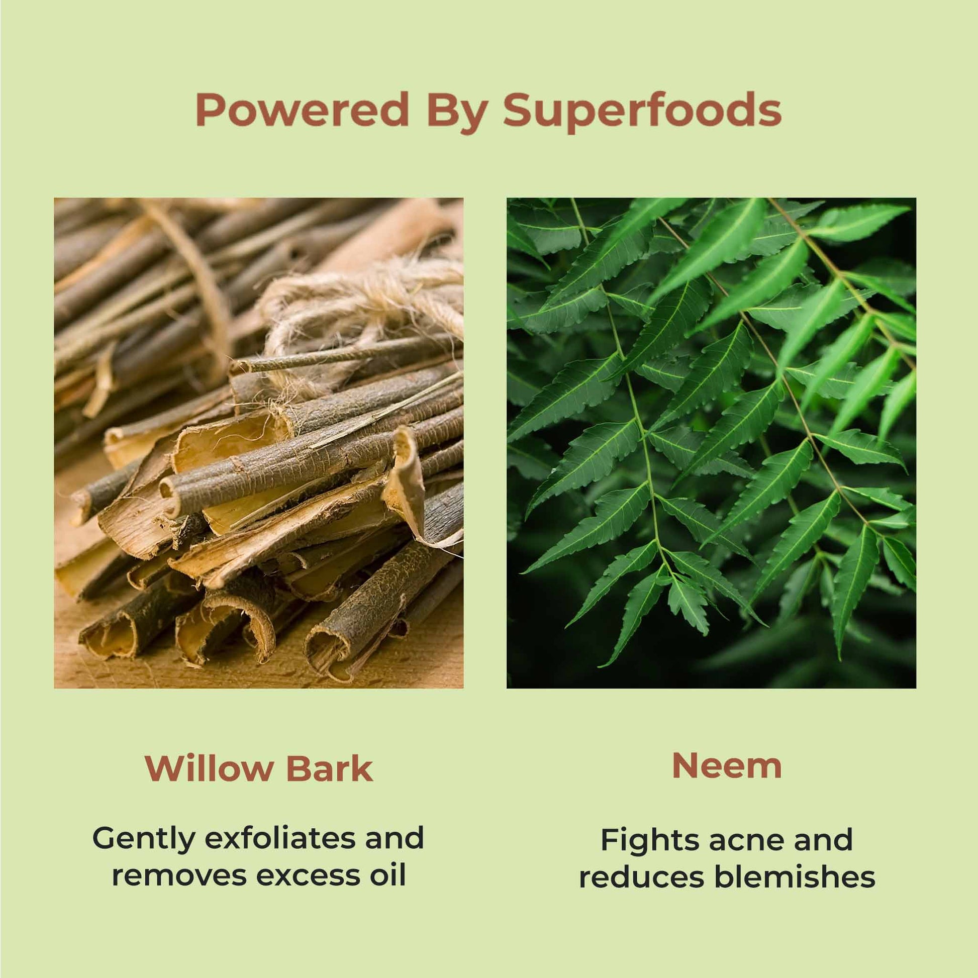 Acne & Oil Control Face Moisturiser With Willow Bark & Neem