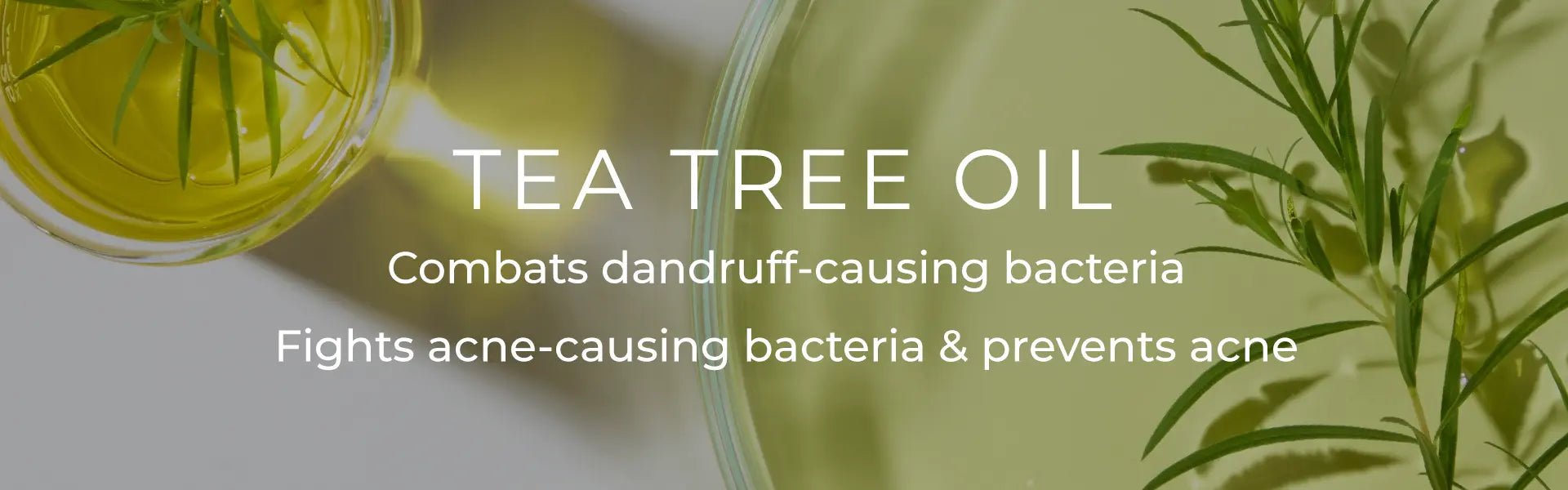 slider image slider_item_FxyfQ3