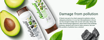 Naturali Damaged Hair concern- Pollution