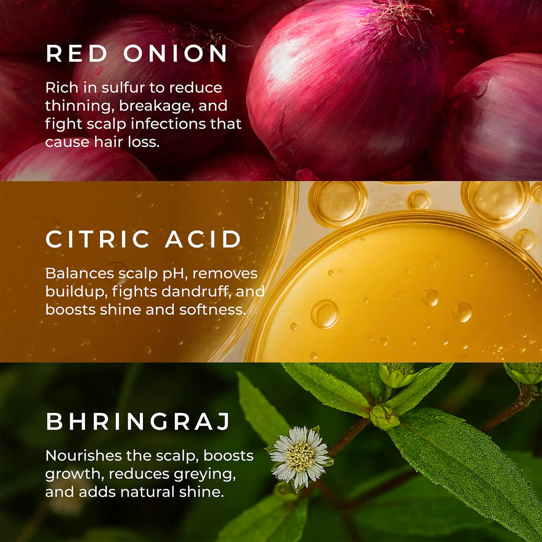 Hair Fall Arrest Shampoo with Onion and Bhringraj