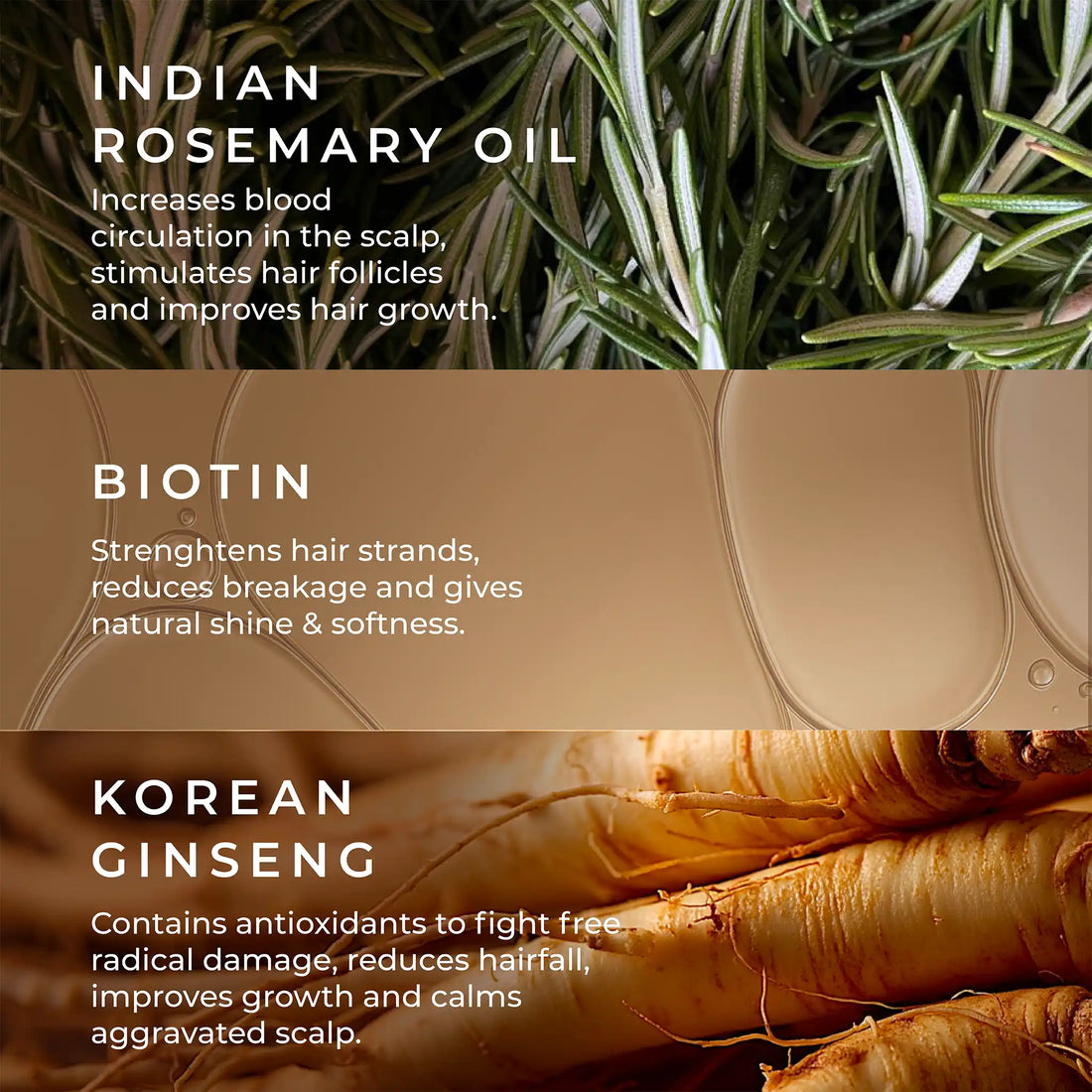 Anti Hairfall Shampoo with Rosemary, Korean Ginseng & Biotin