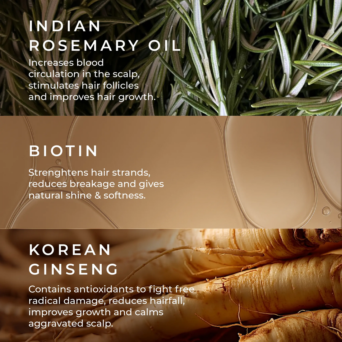 Anti Hairfall Conditioner with Rosemary, Korean Ginseng & Biotin