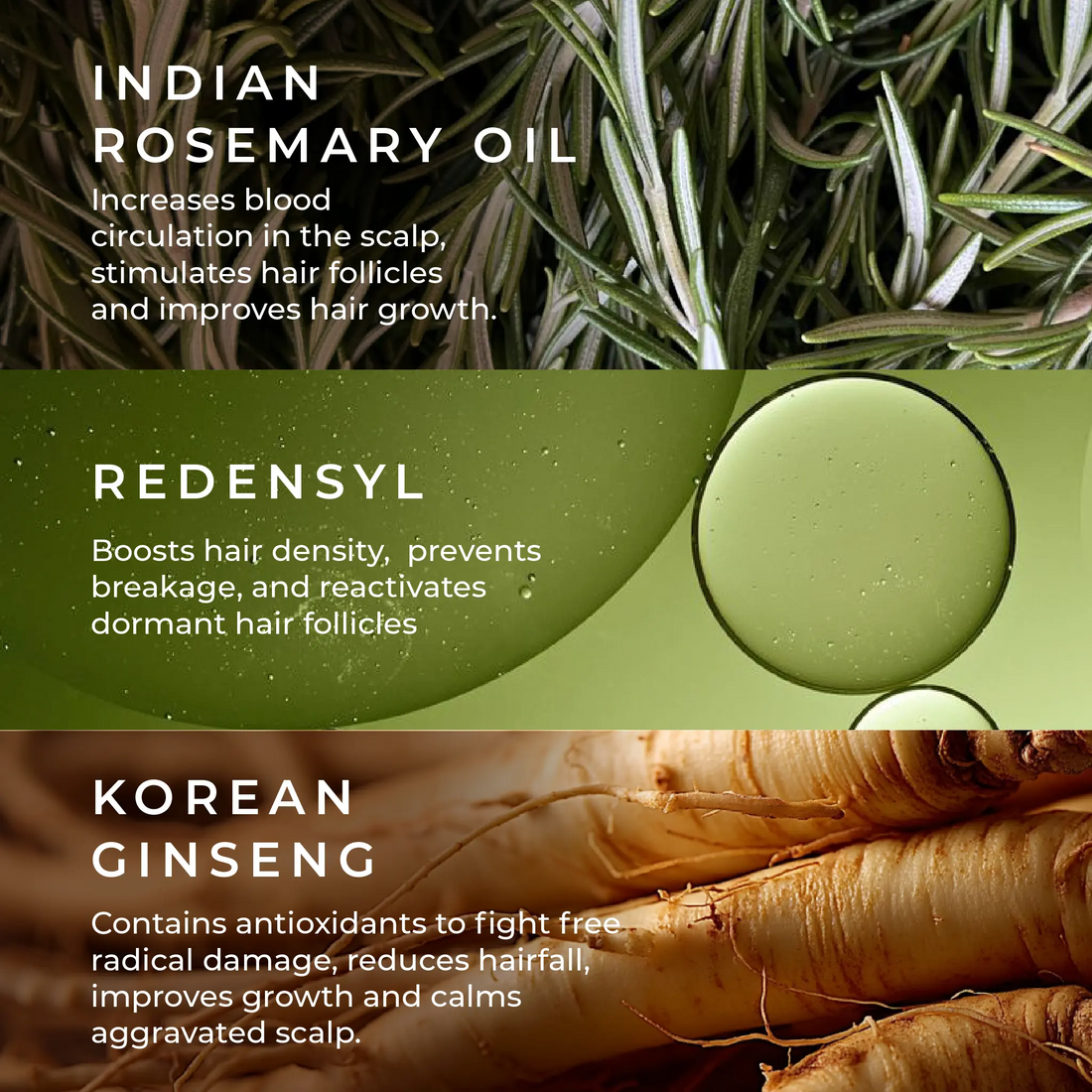 Anti-Hairfall Scalp Serum With Rosemary,Korean Ginseng & Redensyl