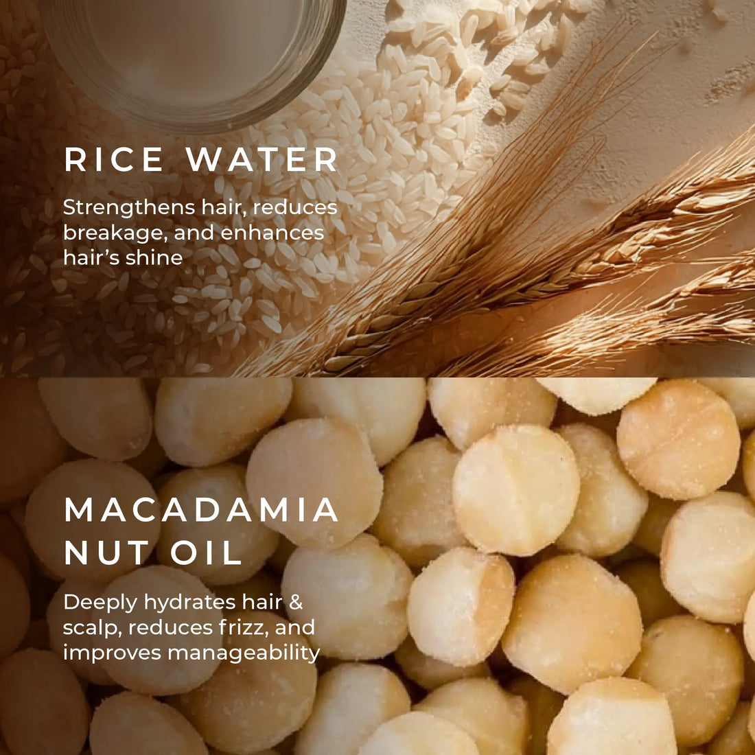 Daily Strength & Nourish Conditioner with Rice Water & Macadamia Nut Oil