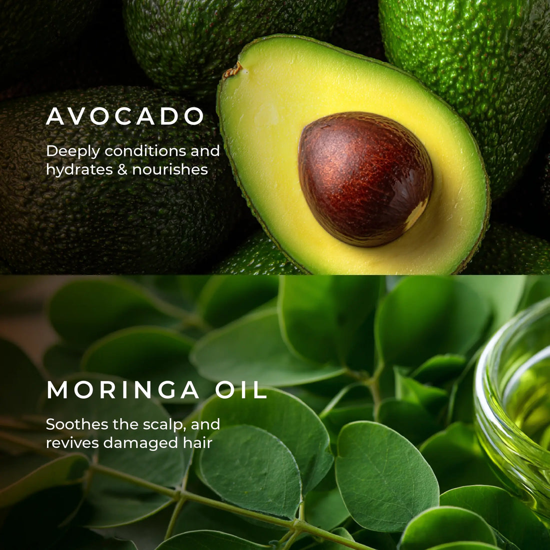 Damage Repair Conditioner for Split Ends & Breakage with Avocado & Moringa Oil